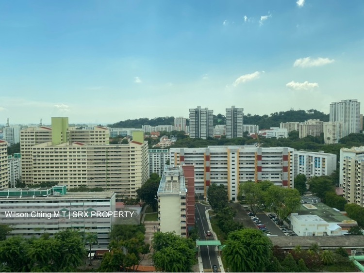 Blk 119B Kim Tian Road (Bukit Merah), HDB 5 Rooms #240124971